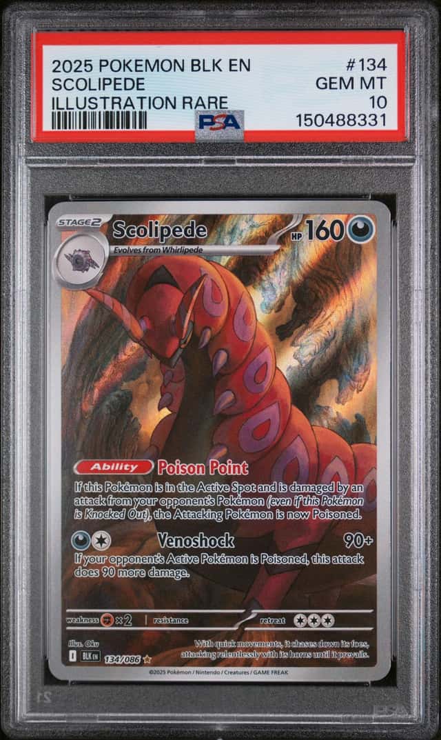 Scolipede