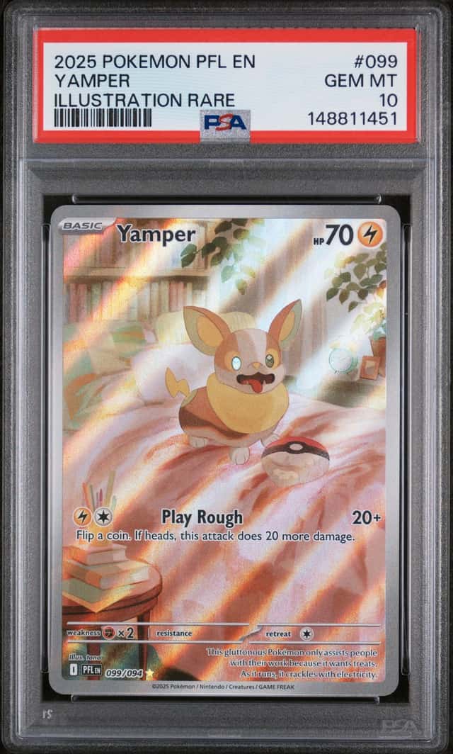 Yamper