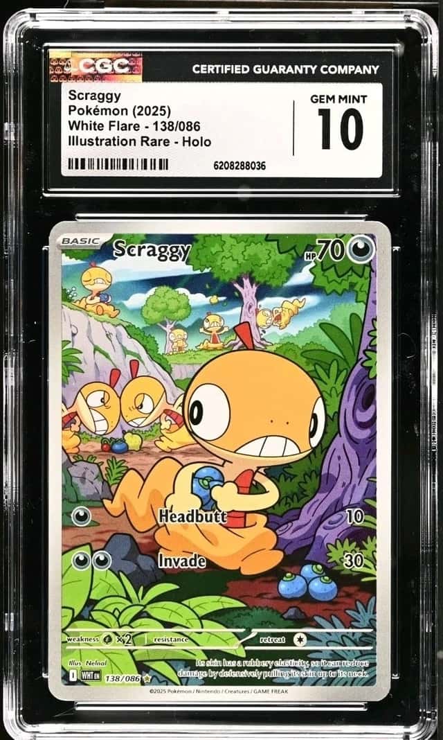 Scraggy
