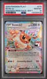 Eevee Ex