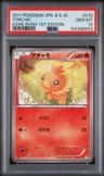 Torchic