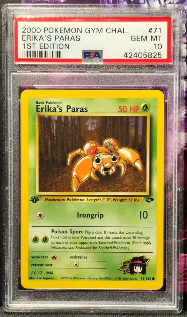 Erika's Paras