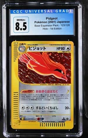 Pidgeot