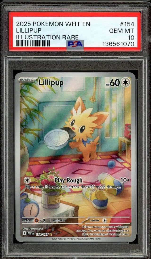 Lillipup