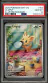 Lillipup