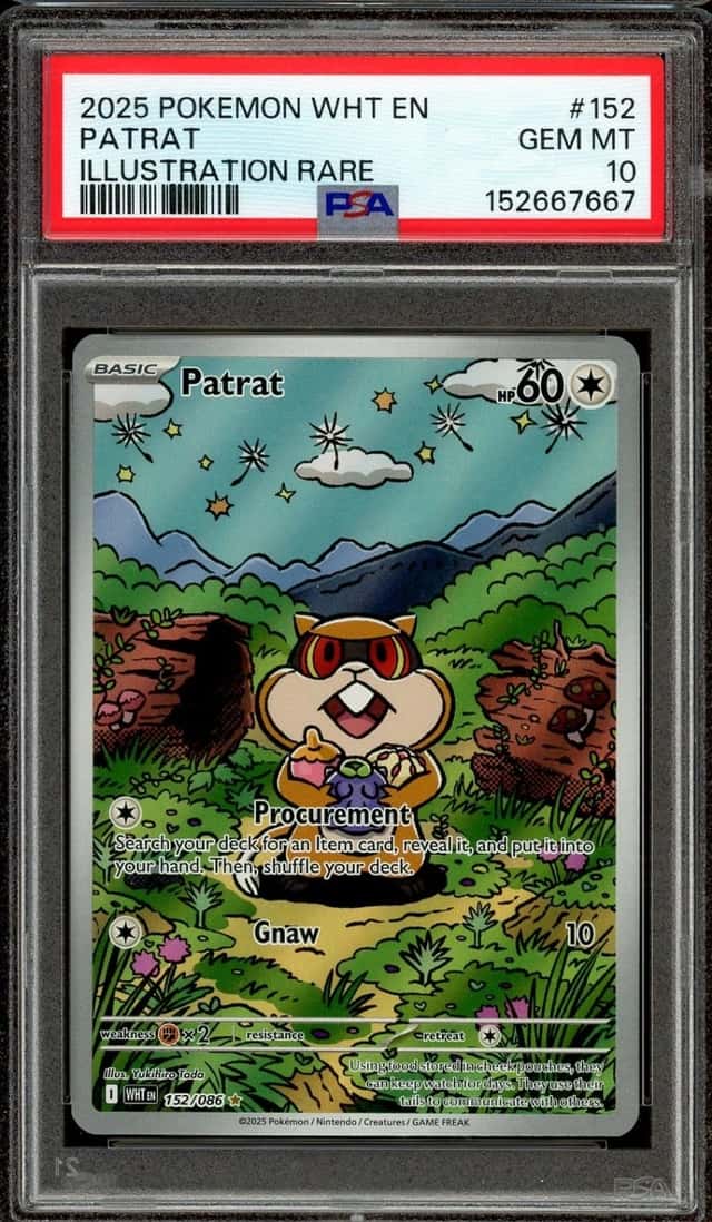 Patrat