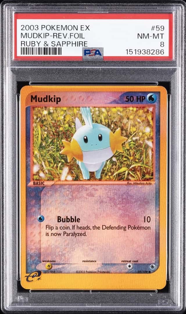 Mudkip