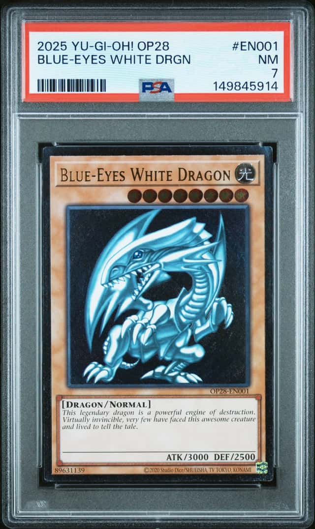 BLUE-EYES WHITE DRGN