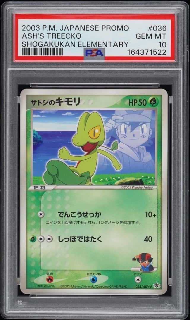 Ash's Treecko