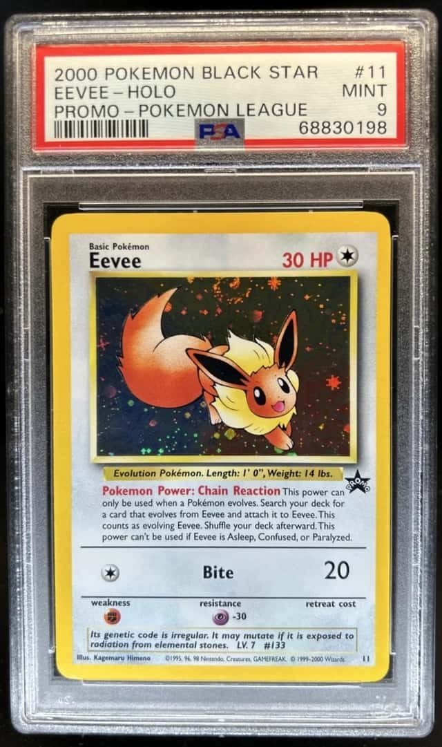 Eevee