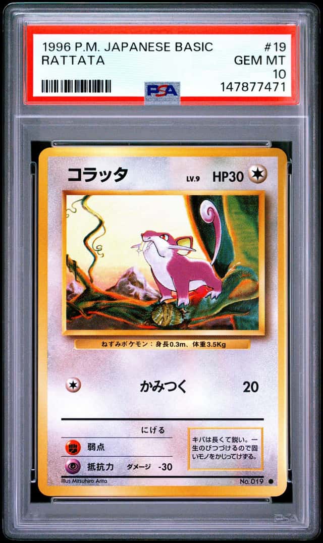 Rattata