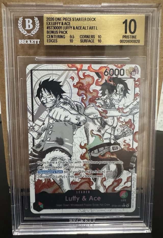Luffy & Ace
