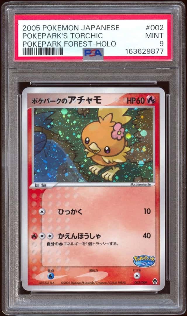 Pokepark's Torchic