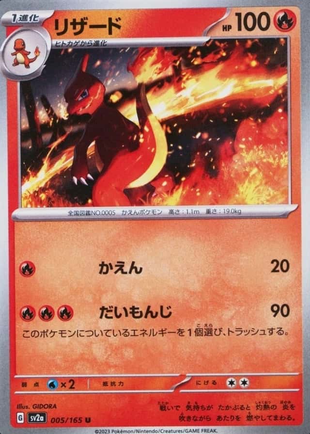 Holo