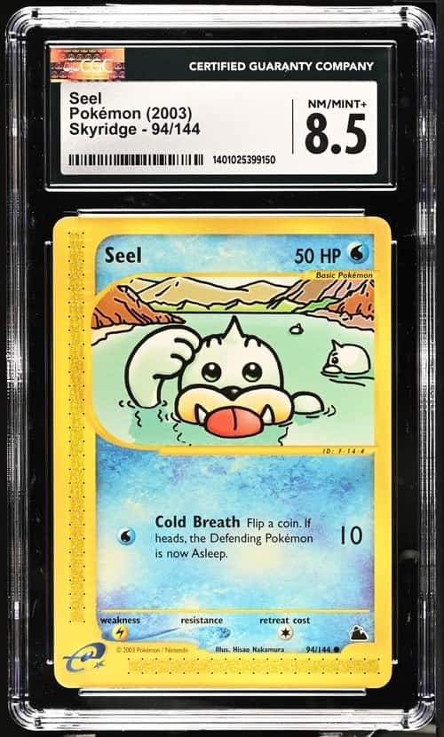 Seel