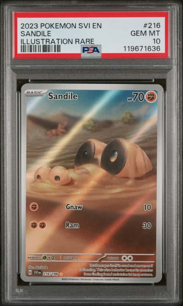 Sandile