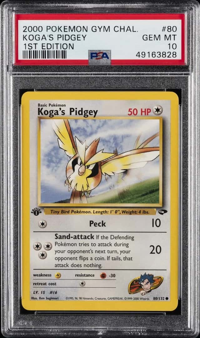 Koga's Pidgey