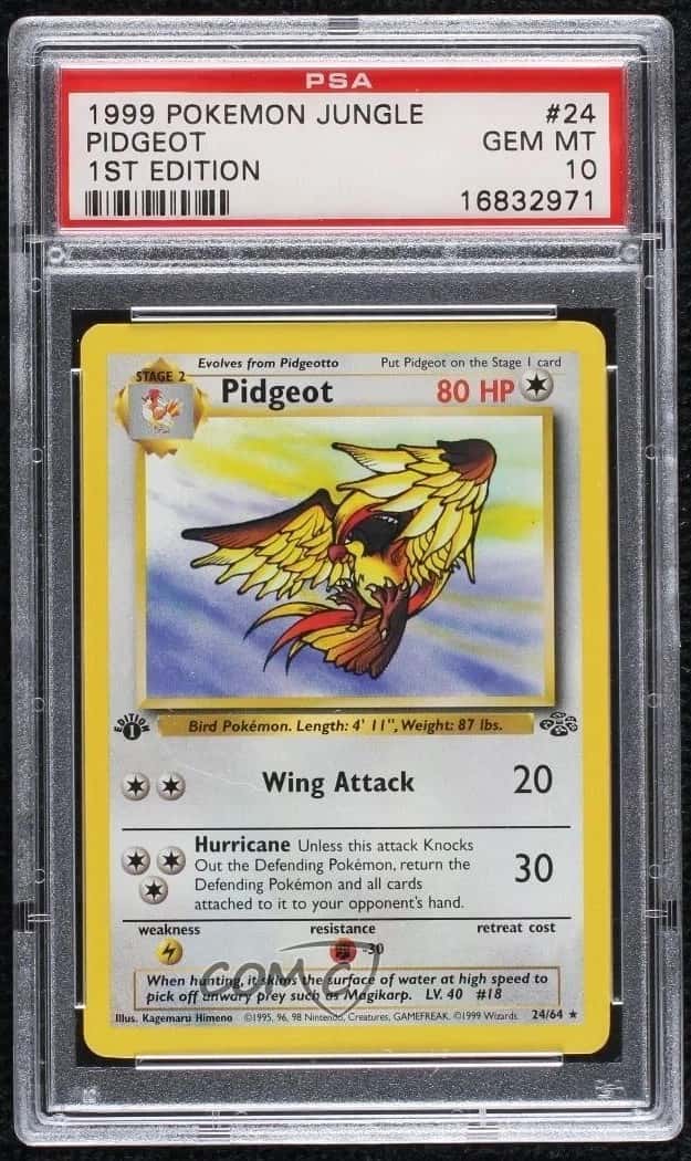 Pidgeot
