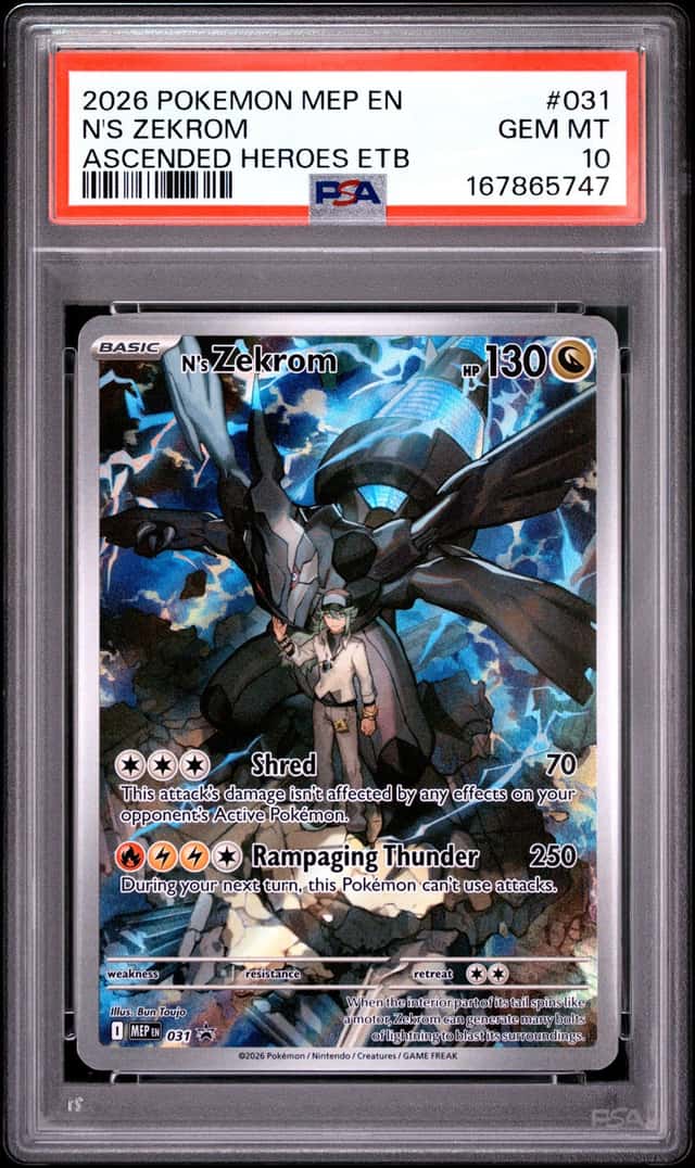 N's Zekrom