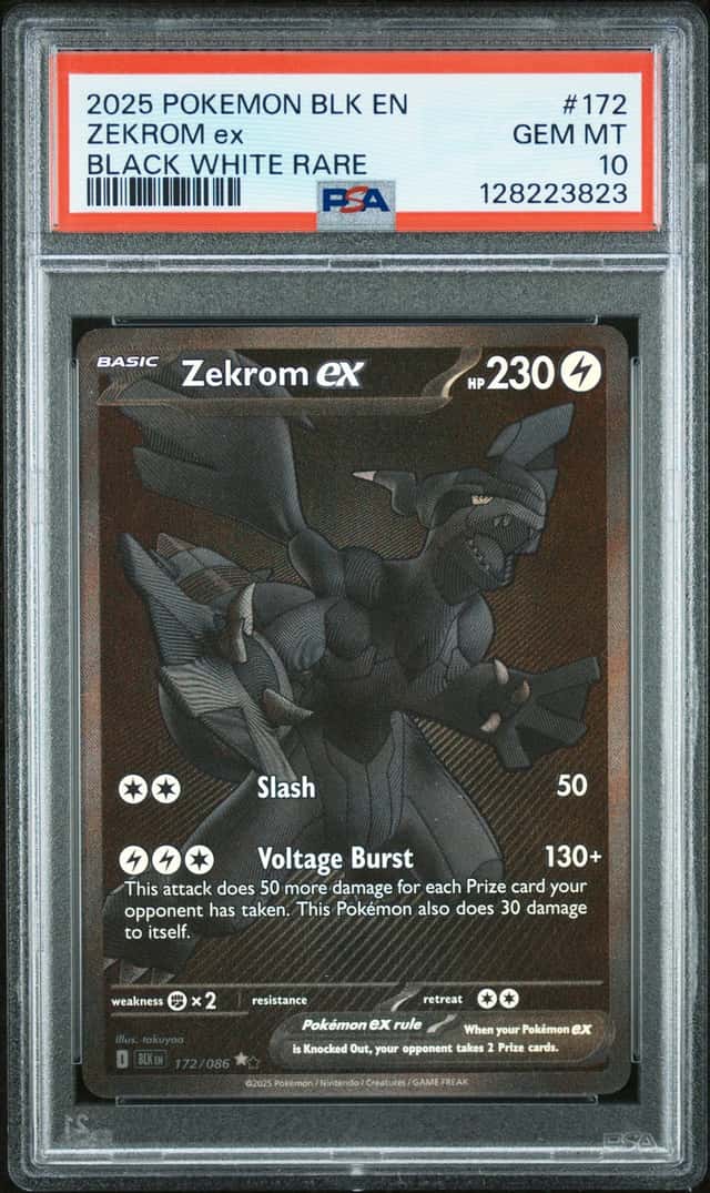 ZEKROM ex