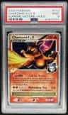 Charizard G Lv X