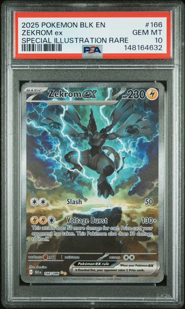 ZEKROM ex