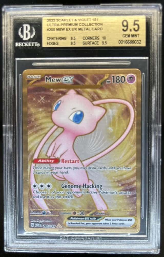 MEW ex