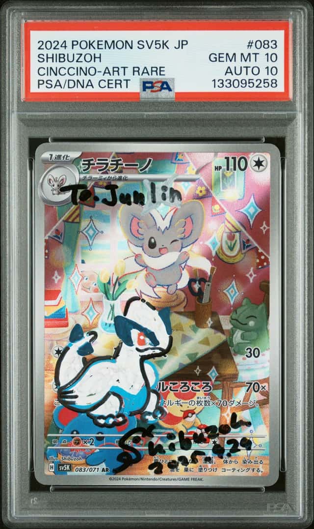 Cinccino