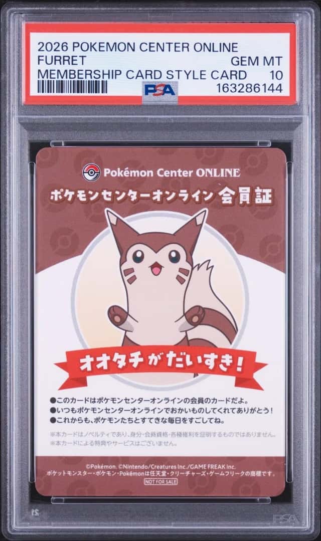 Furret