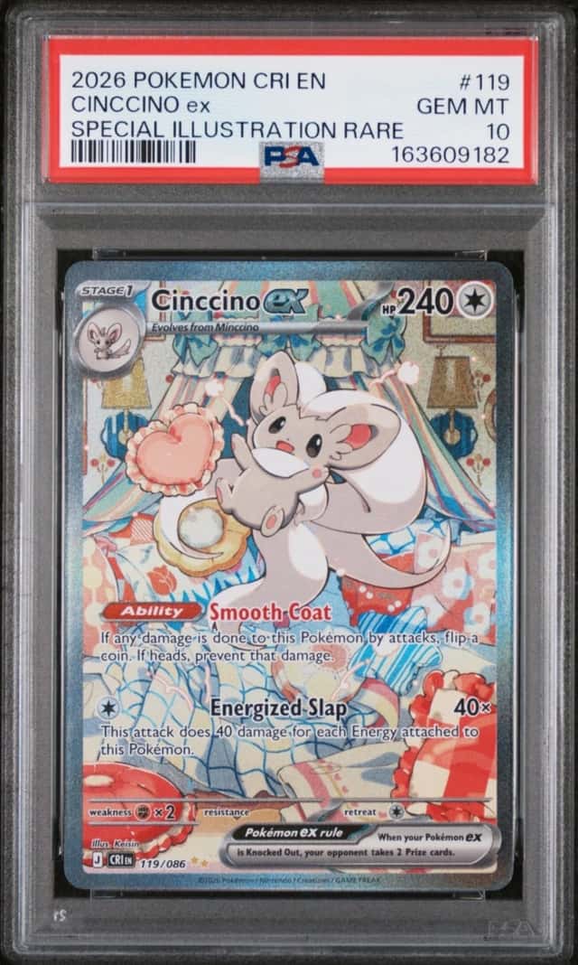 CINCCINO ex