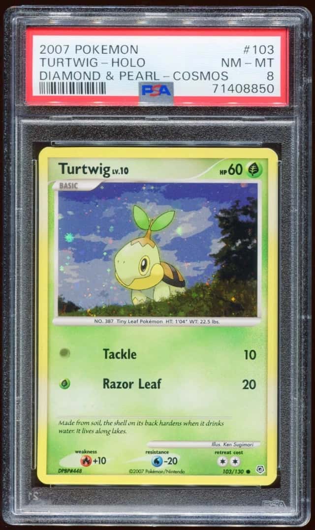 Turtwig