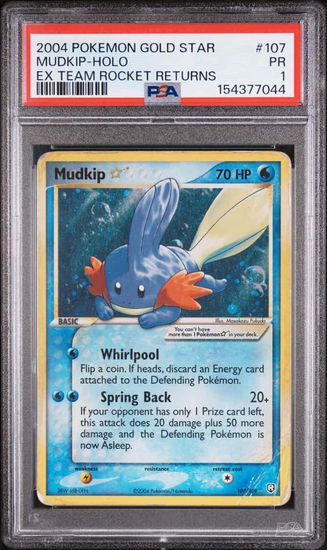 Mudkip