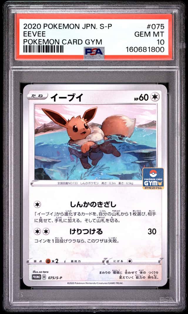 Eevee