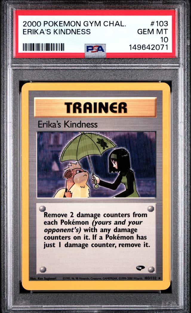 Erika's Kindness