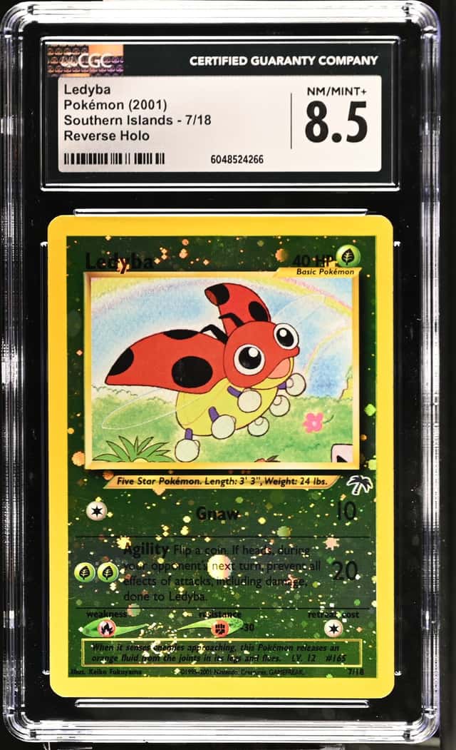 Ledyba