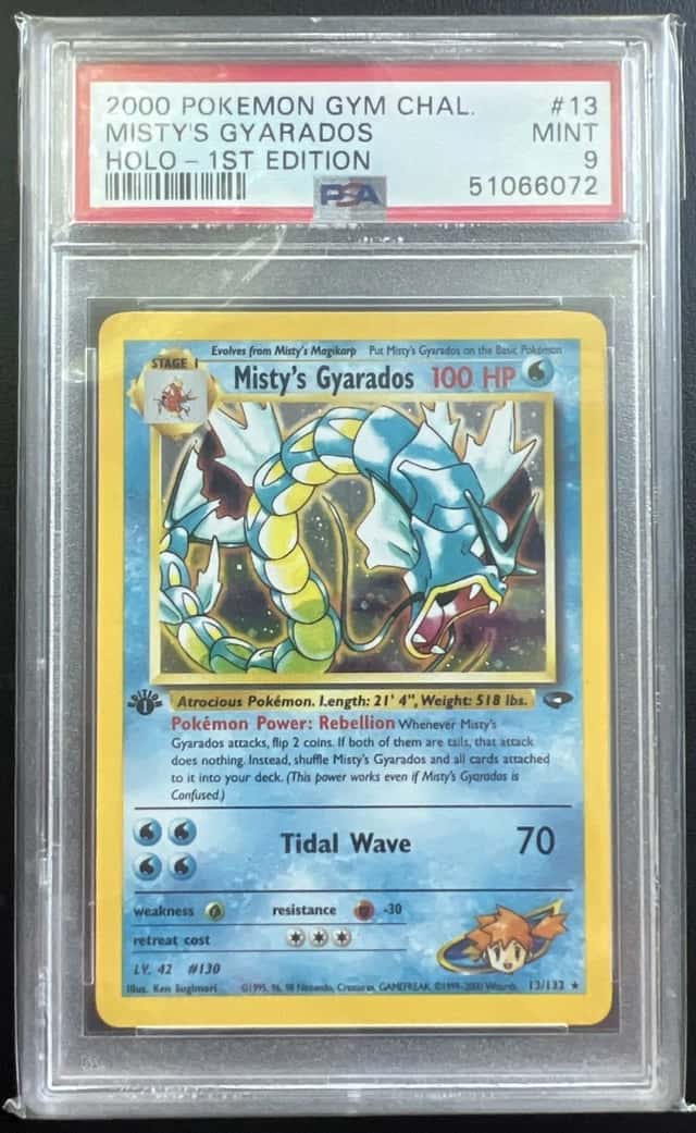 Misty's Gyarados