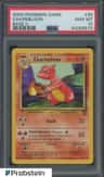 Charmeleon