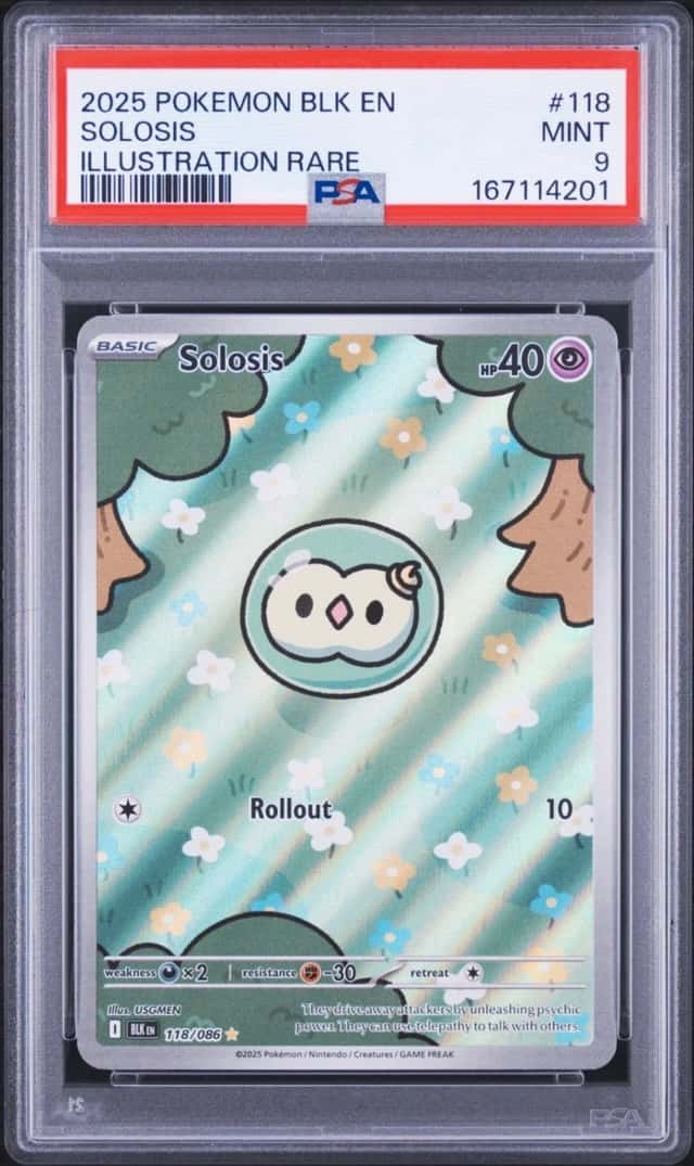 Solosis