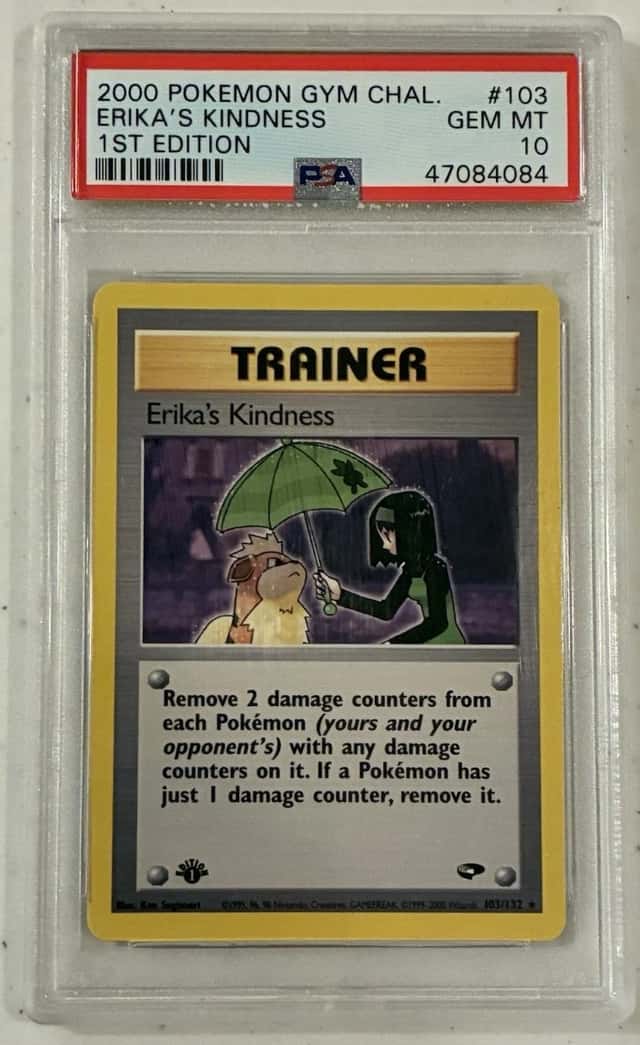 Erika's Kindness