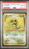 Caterpie