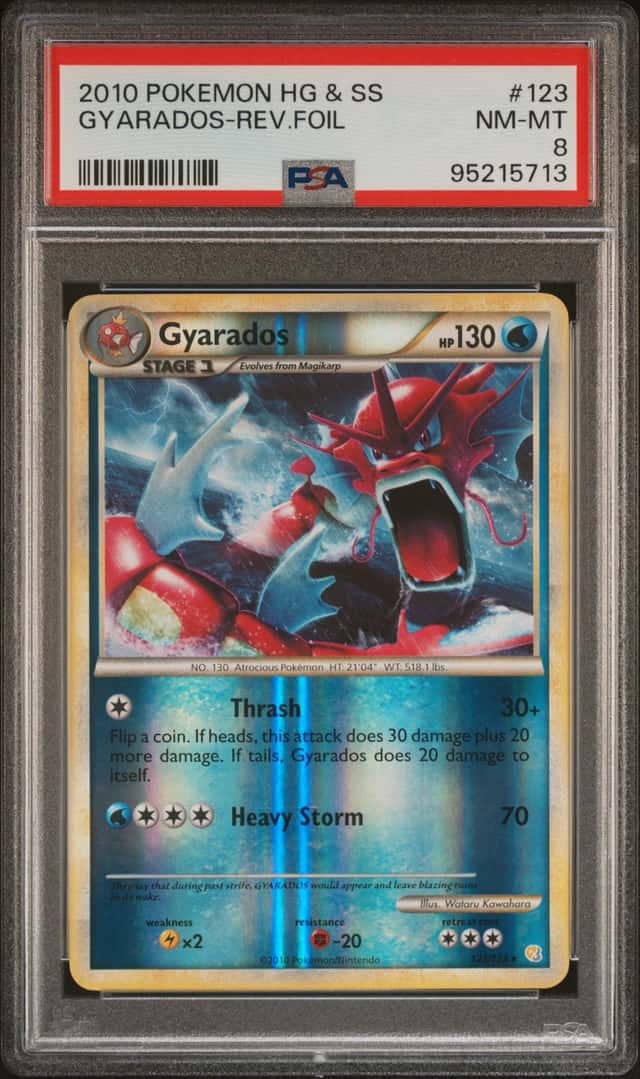 Gyarados