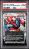 Spectacular Spider-Man