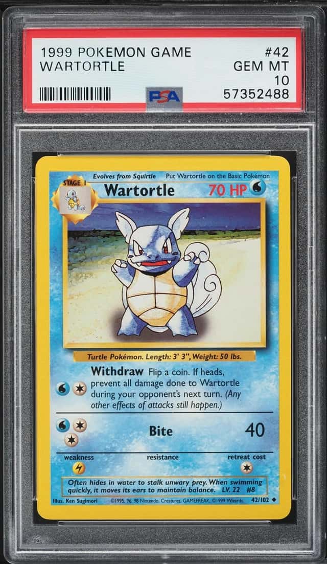 Wartortle