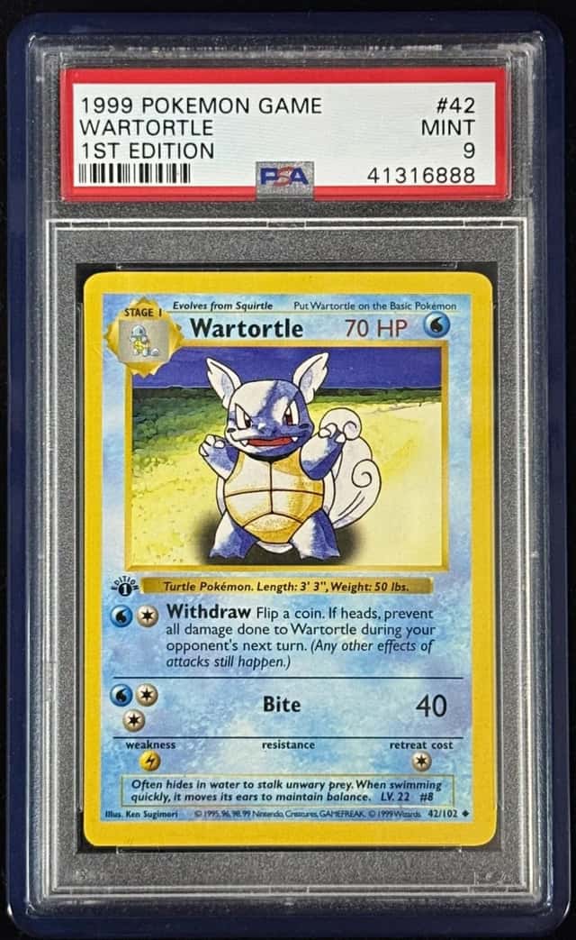 Wartortle