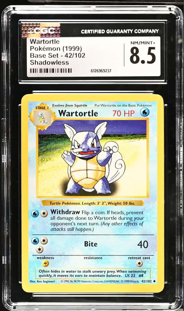 Wartortle