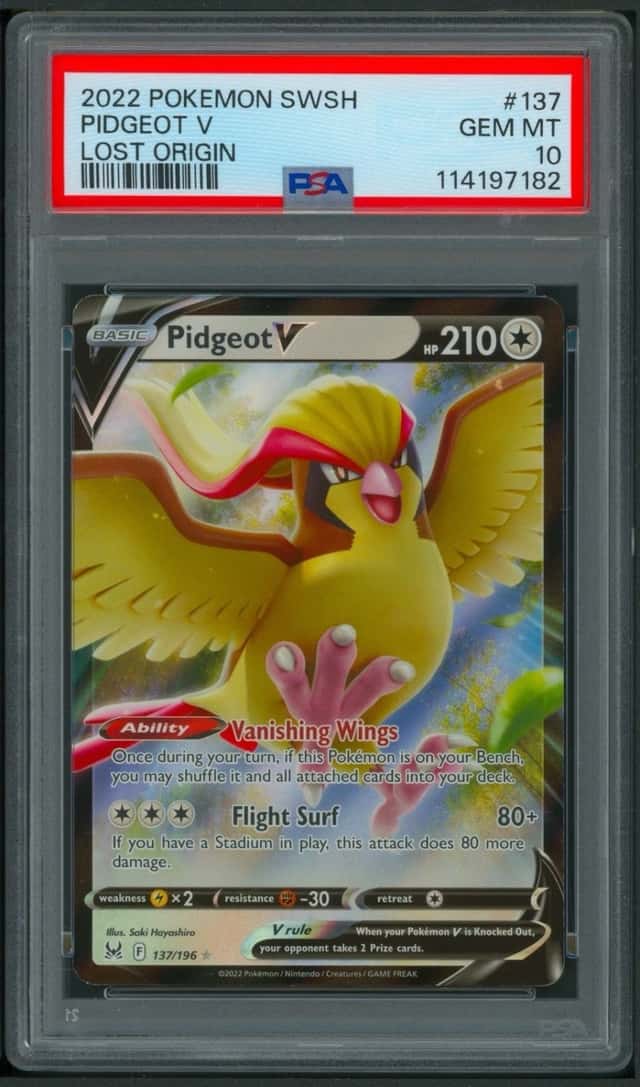 Pidgeot V