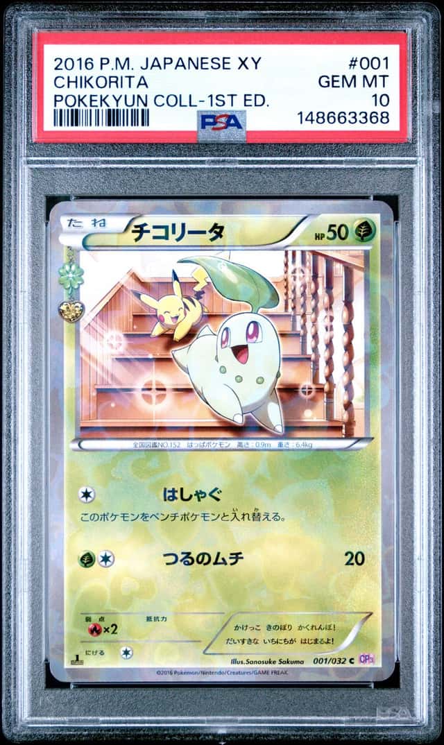 Chikorita