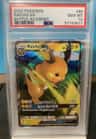 Raichu Gx