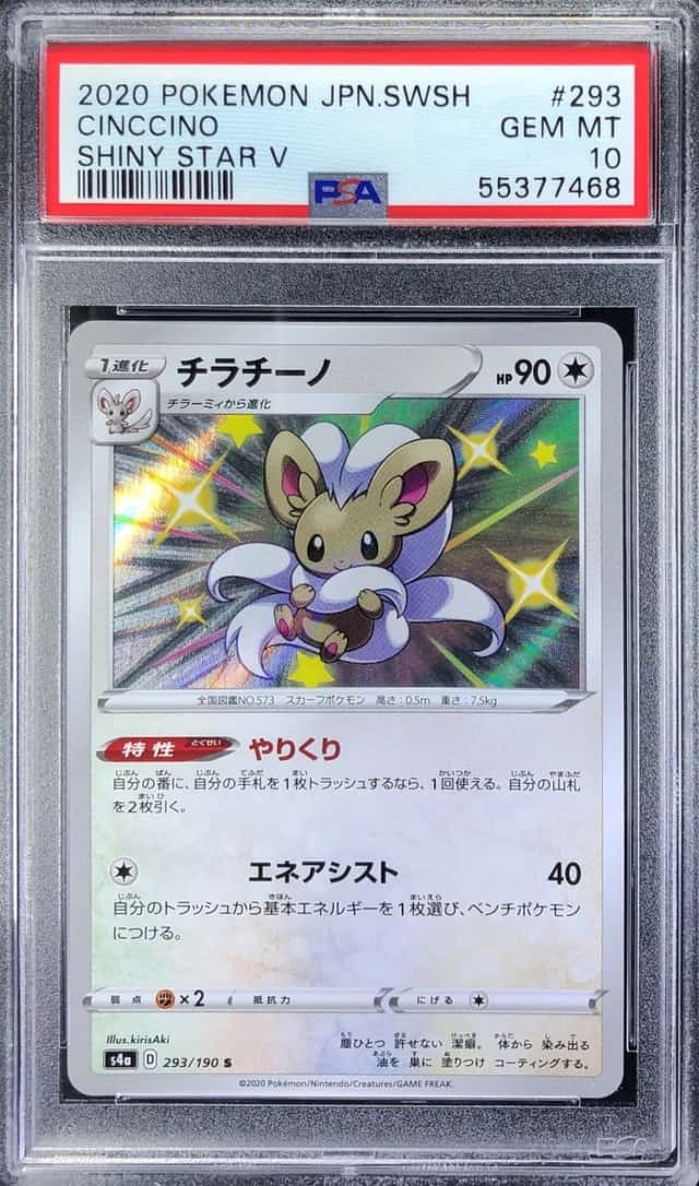 Cinccino