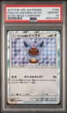 Poncho-Wearing Eevee